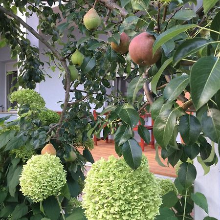 Gete Vendeghaz Villa Csolnok Eksteriør bilde
