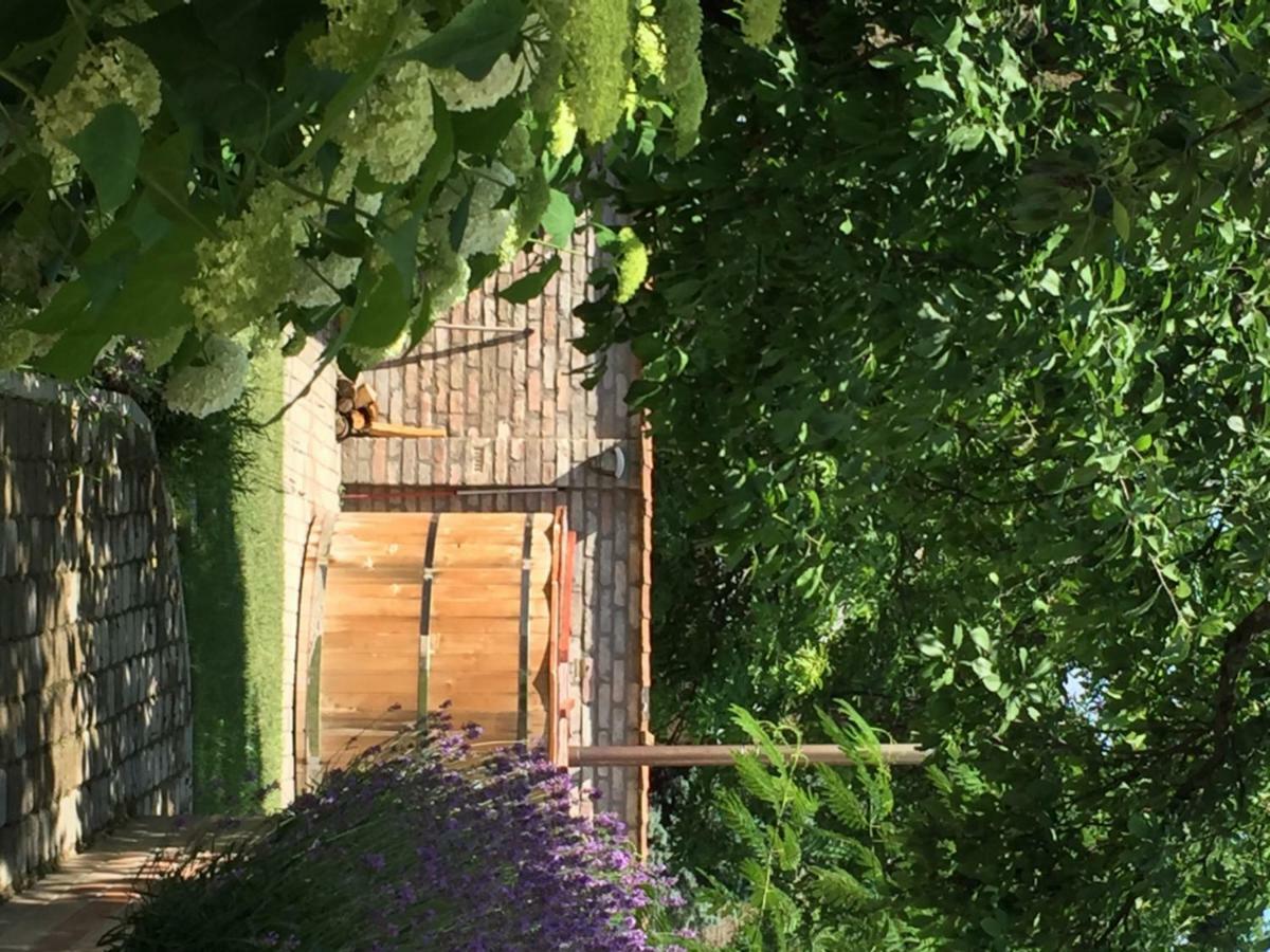 Gete Vendeghaz Villa Csolnok Eksteriør bilde