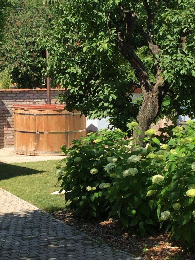 Gete Vendeghaz Villa Csolnok Eksteriør bilde